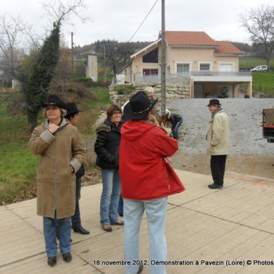 12118-DemoPavezin (2)