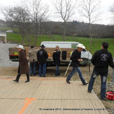 12118-DemoPavezin (3)
