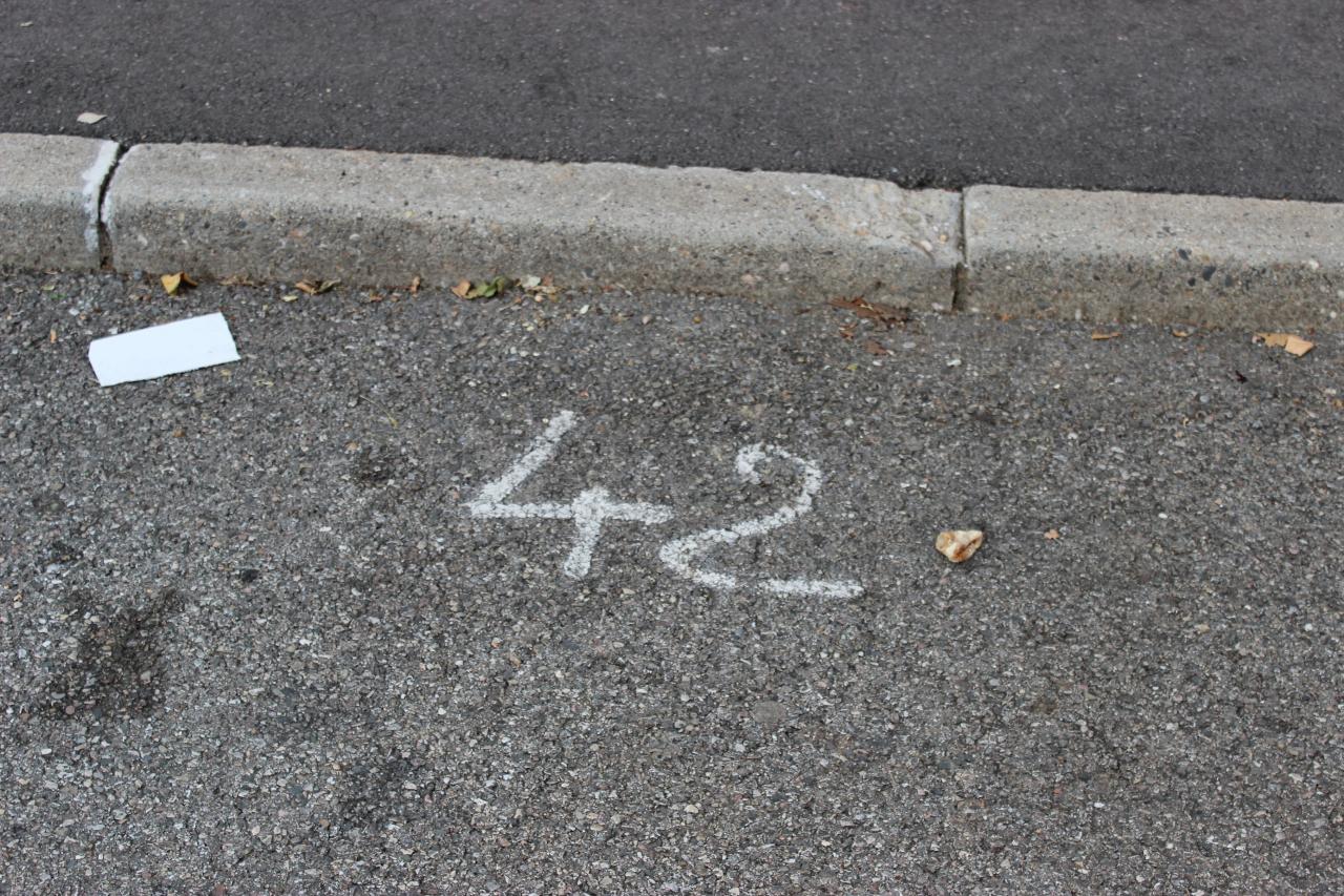 5 (81)
